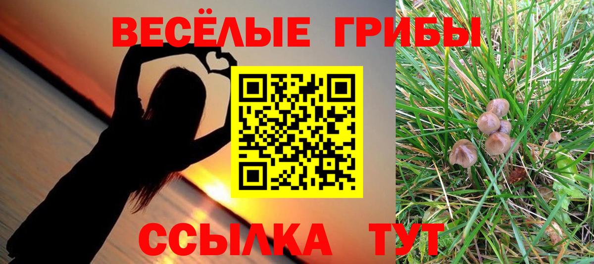 Псилоцибиновые грибы прущие грибы  Вход с VPN  Волгоград 